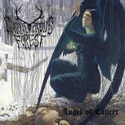 Carnivorous Forest : Angel of Cancer